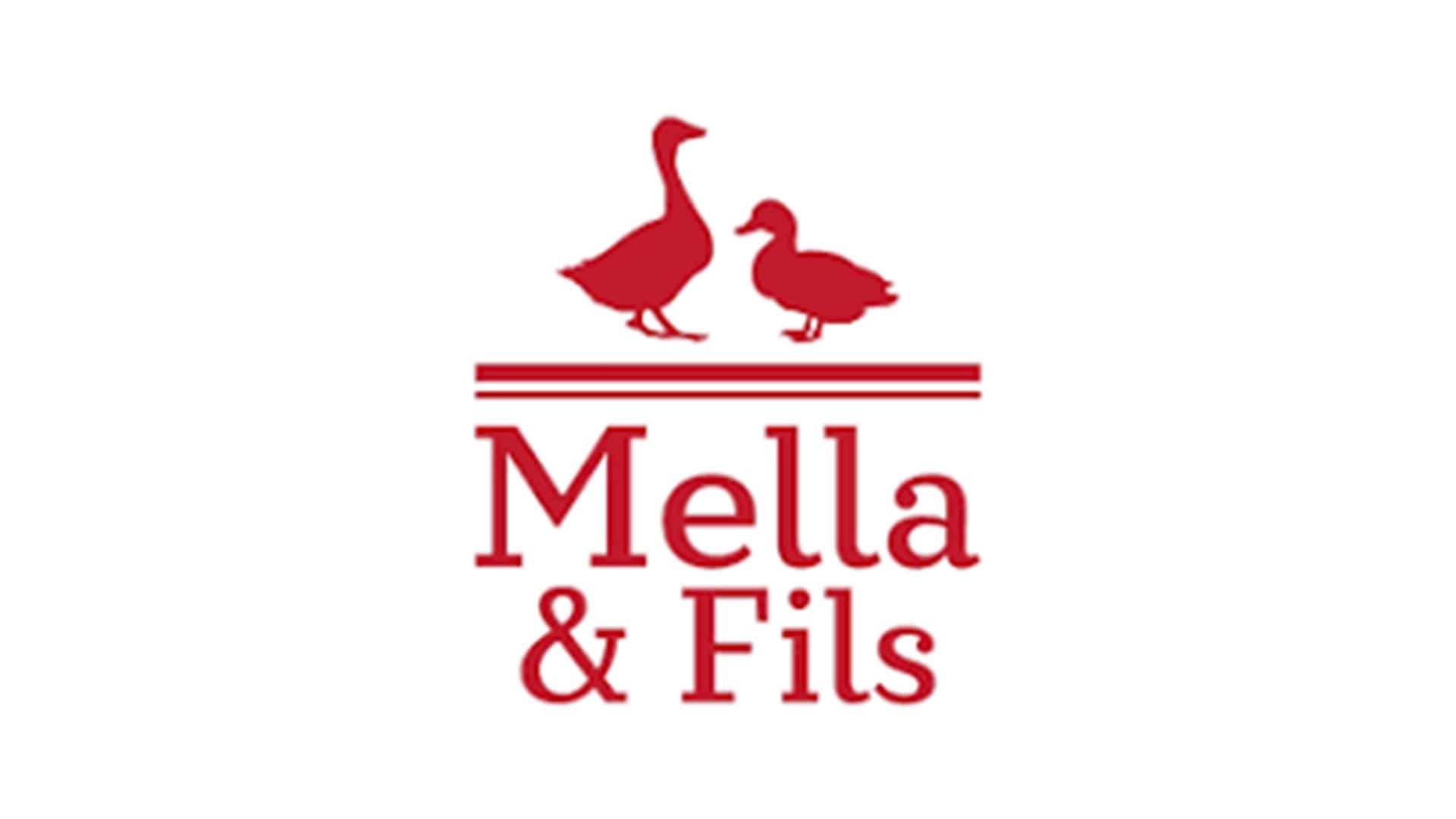 Nurvia Partners - Consel aux Entreprises